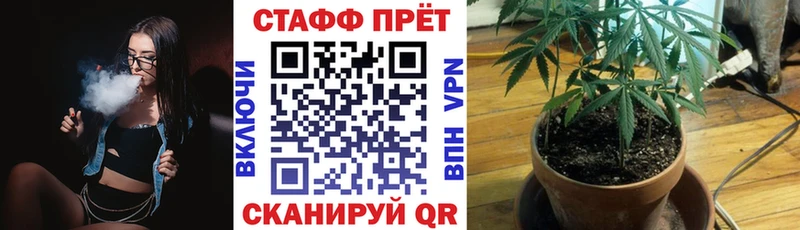  КОКАИН Лесной