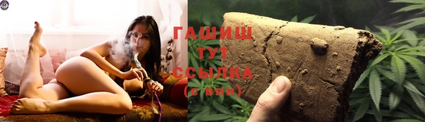 гидра Алексеевка