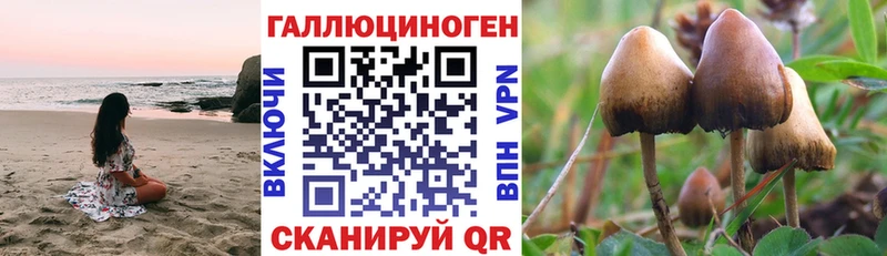 Галлюциногенные грибы Magic Shrooms ОМГ ОМГ как войти Лесной купить закладку